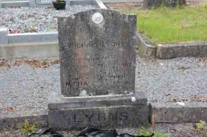 Lyons Michael Arm
